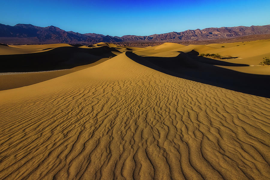 Death Valley Desert Landscape Photograph by Garry Gay