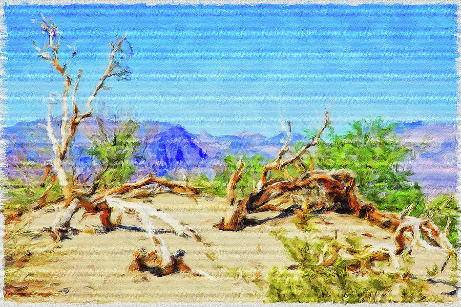 Death Valley dry trees, Painting Mixed Media by Tatiana Travelways