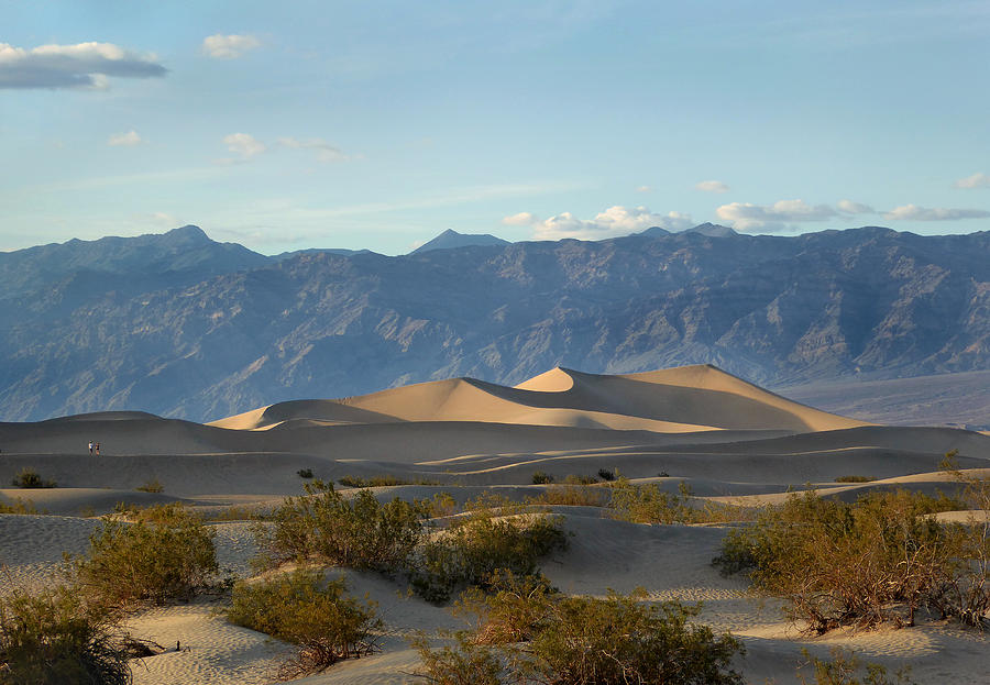 Death Valley Dunes Photograph by Gordon Beck
