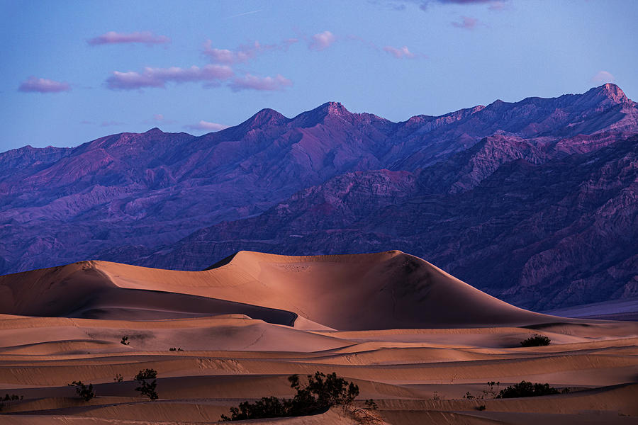 Death Valley Dunes - Sunrise Photograph by Peter Tellone