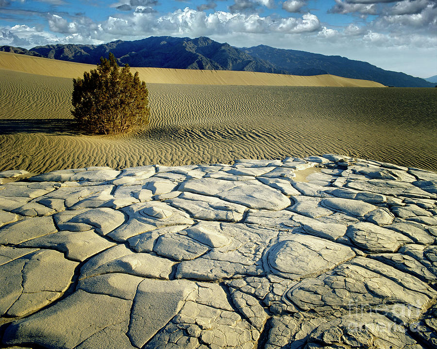 Death Valley Photograph by Edmund Nagele FRPS