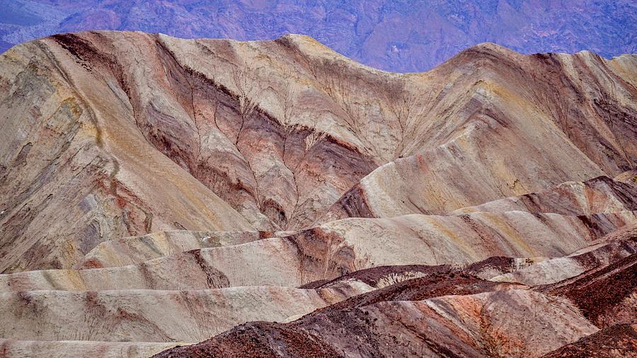 Death Valley Fascination  Photograph by Brett Harvey