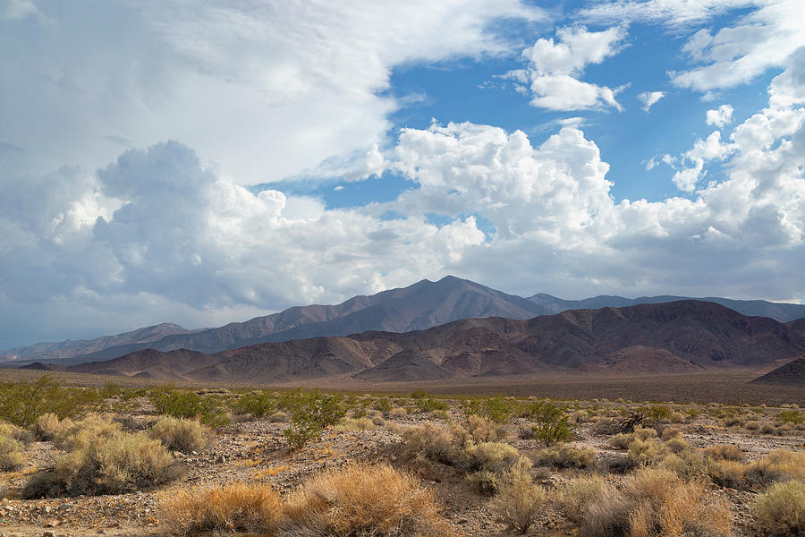 Death Valley II Photograph