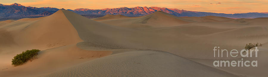 Sunset Photograph - Death Valley Mesquite Dunes Panorama by Adam Jewell