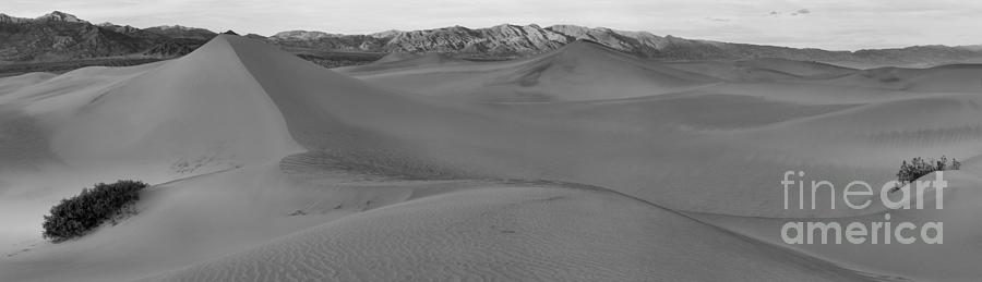 Sunset Photograph - Death Valley Mesquite Dunes Panorama Black And White by Adam Jewell