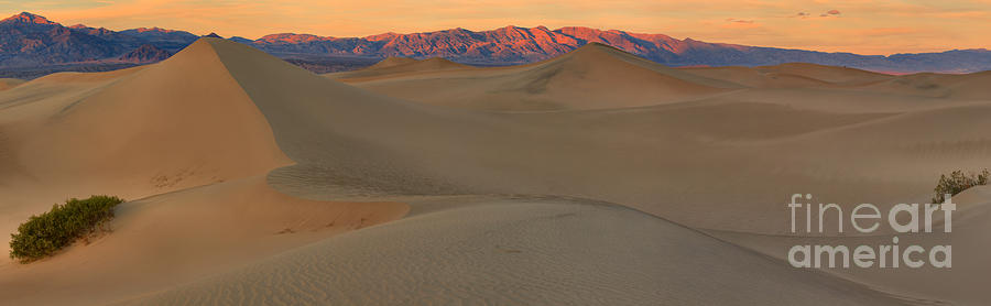 Sunset Photograph - Death Valley Mesquite Dunes Panorama Crop by Adam Jewell