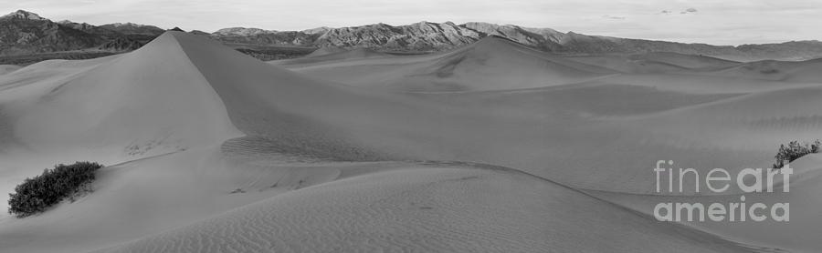 Sunset Photograph - Death Valley Mesquite Dunes Panorama Crop Black And White by Adam Jewell