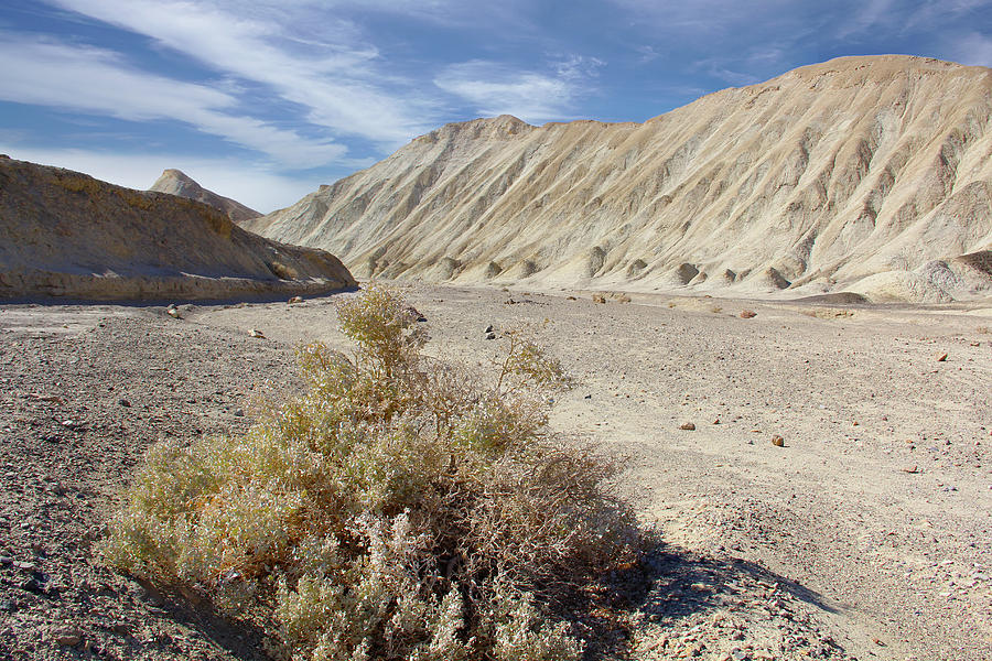 Death Valley  Photograph by Mike McGlothlen