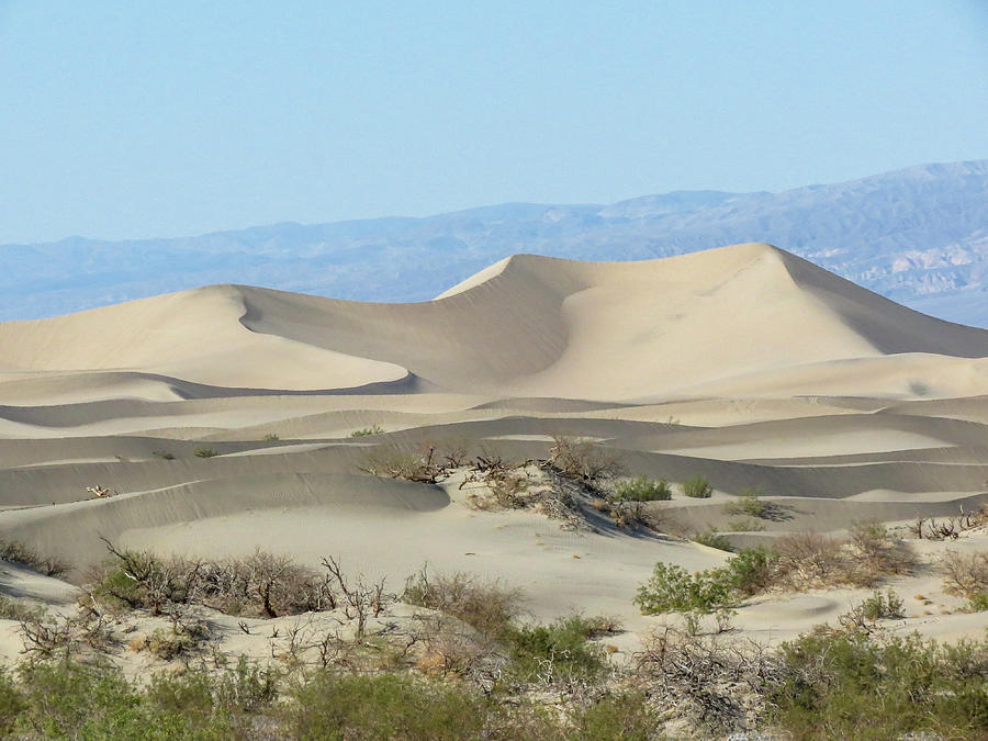 Death Valley National Park - Mesquite Sand Dunes I Photograph by Patti ...