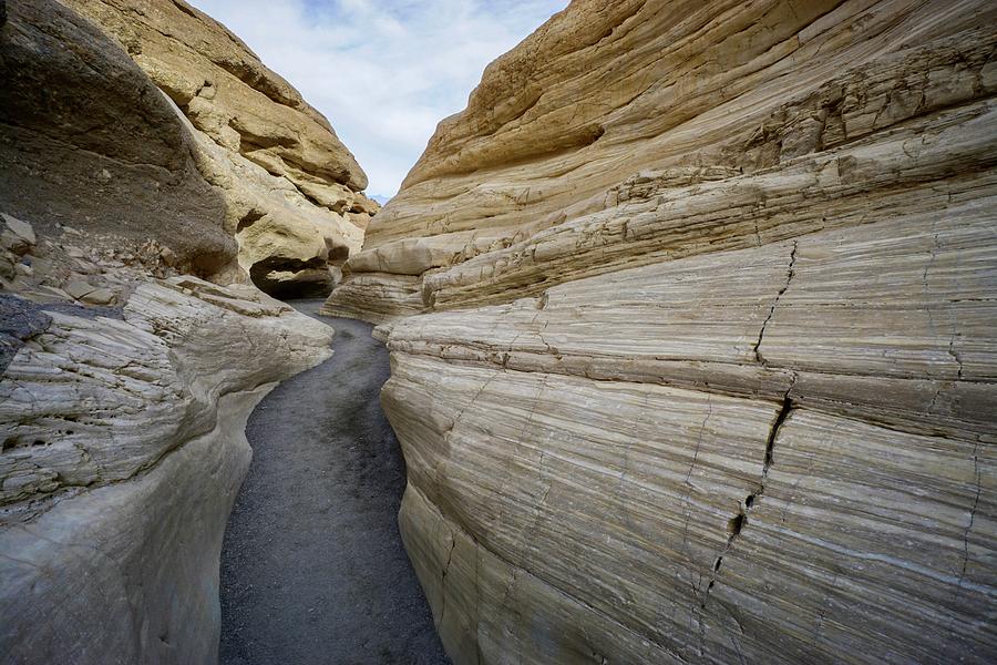 Death Valley Organic Photograph by Brett Harvey