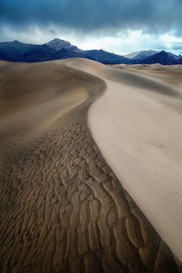 Death Valley Sand Dune Photograph by Michael Ash