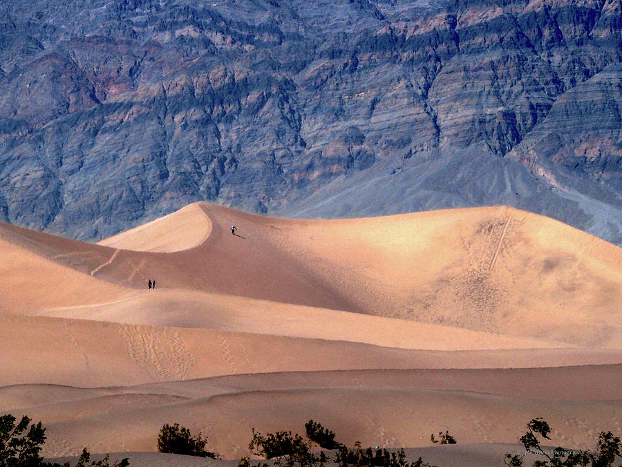 Death Valley Sand Dunes #3 Digital Art by Ralph Muzio | Fine Art America