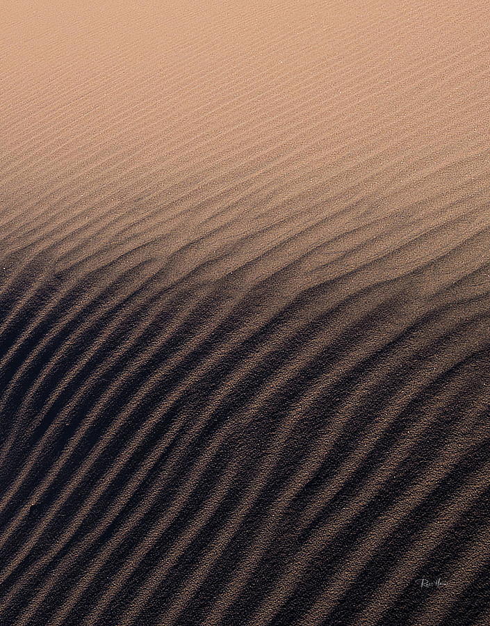 Death Valley Sand Dunes Photograph by Russ Harris