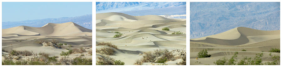 Death Valley Sand Dunes Triptych Photograph by Patti Deters