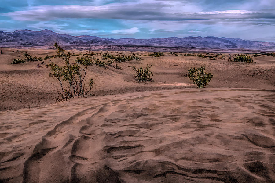 Death Valley Sand Trails Photograph