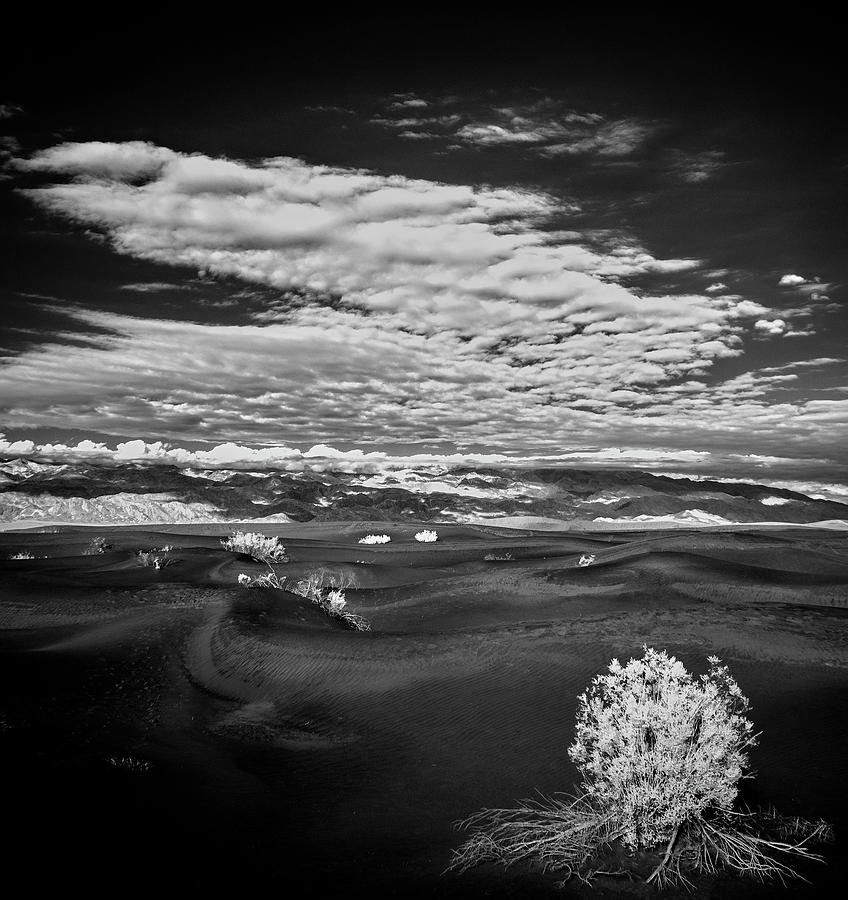 Death Valley Starkness Photograph