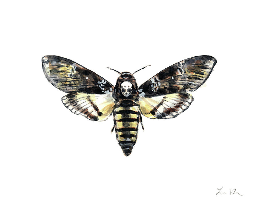 Skull Painting - Deaths Head Moth - Silence of the Lambs by Laura Row