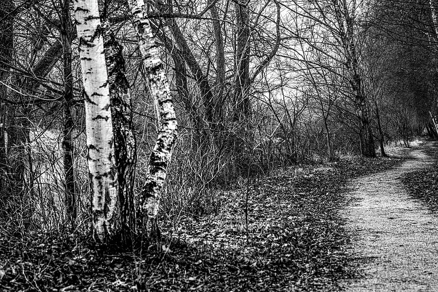 Dec path BW#k5 Photograph by Leif Sohlman