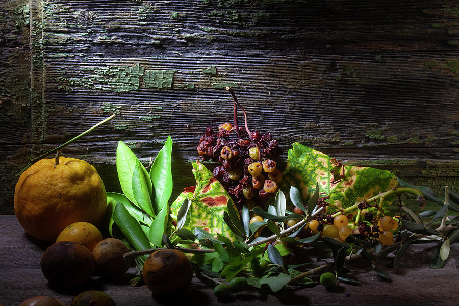 Decayed Fruits Leaves Still Life Digital Art by Matjaz Preseren - Fine ...