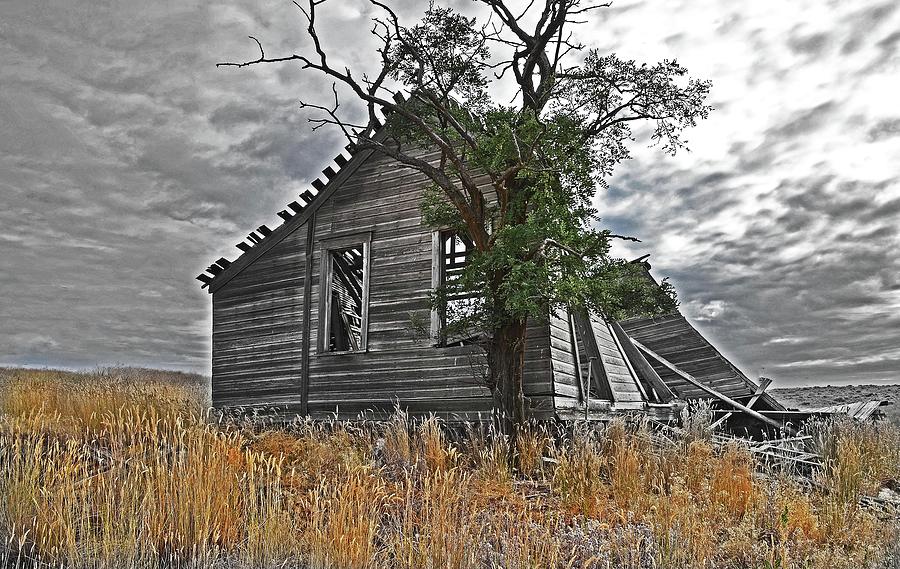 Decaying Homestead Digital Art by Fred Loring