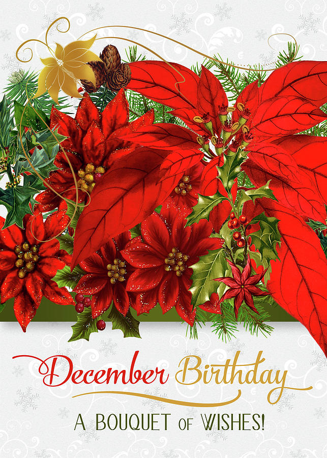 December Birthday Poinsettias Digital Art by Doreen Erhardt