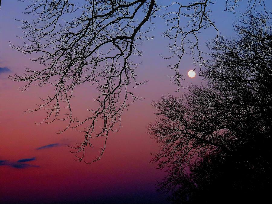 December Moon Photograph by Linda Stern