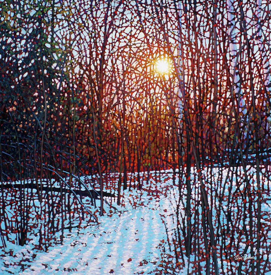 Stå på ski Albany lægemidlet December Morning Painting by Tim Packer - Pixels