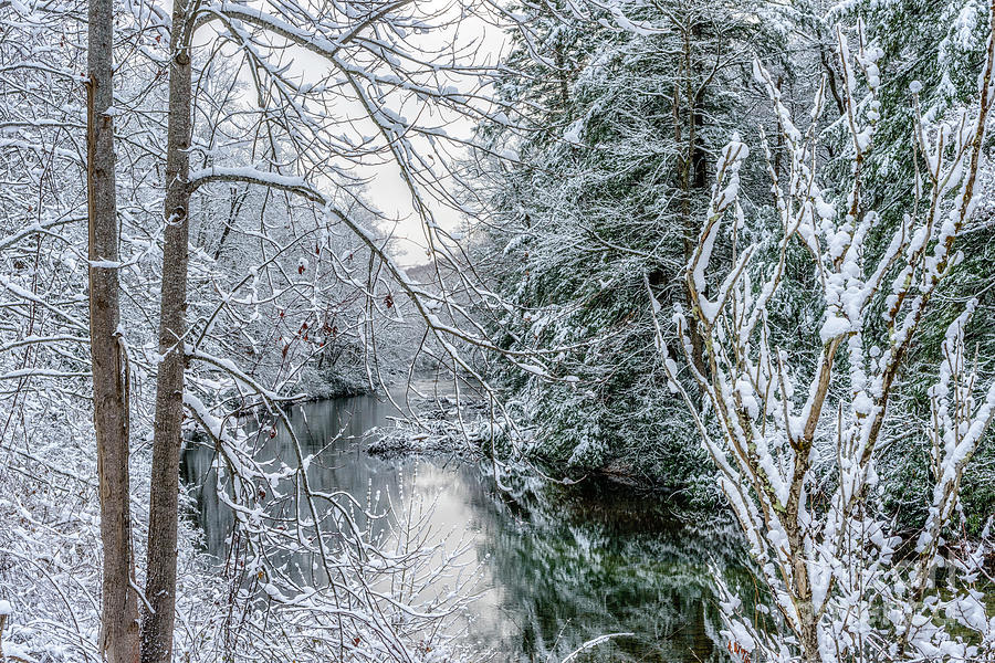 December Snow Along Gauley River Photograph