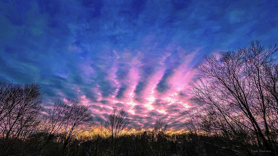 December Sunrise in the Northeast Photograph by Frank Mari