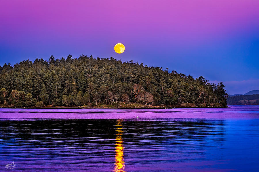 Decenber Moon Photograph by Thomas Ashcraft