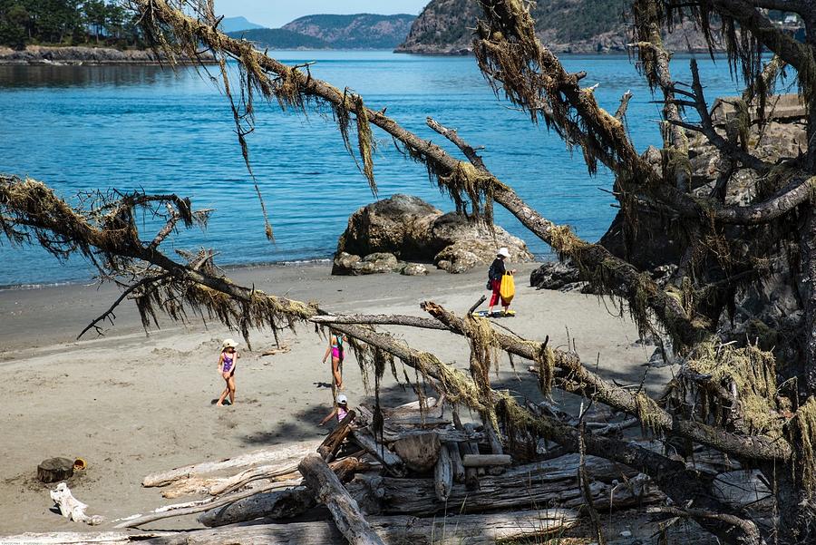 Deception Pass Beach West and Mossy Branches Photograph by Tom Cochran