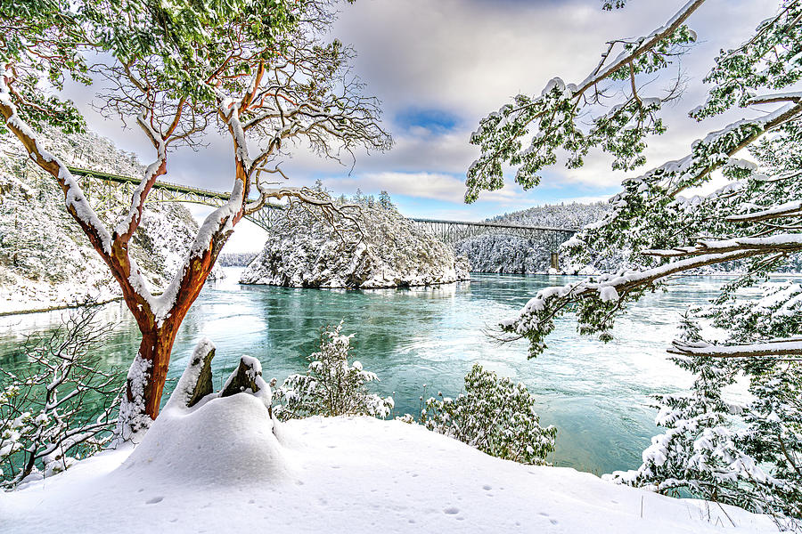 Winter Photograph - Deception Pass Snow by Gary Skiff