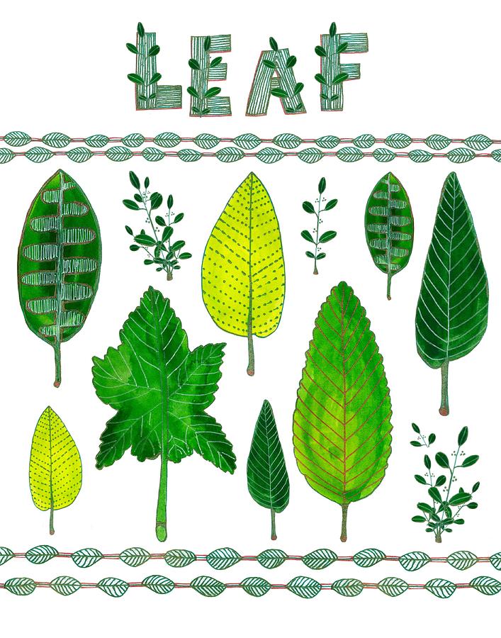 Deciduous Leaf Chart Painting by Blenda Studio