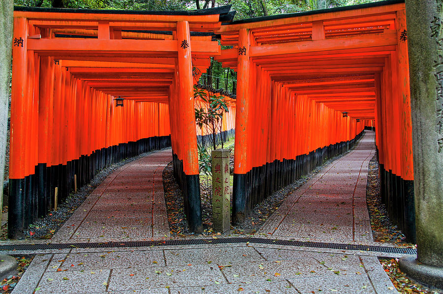 Decisions at Fushimi Inari Taisha  Photograph by Brian Kamprath