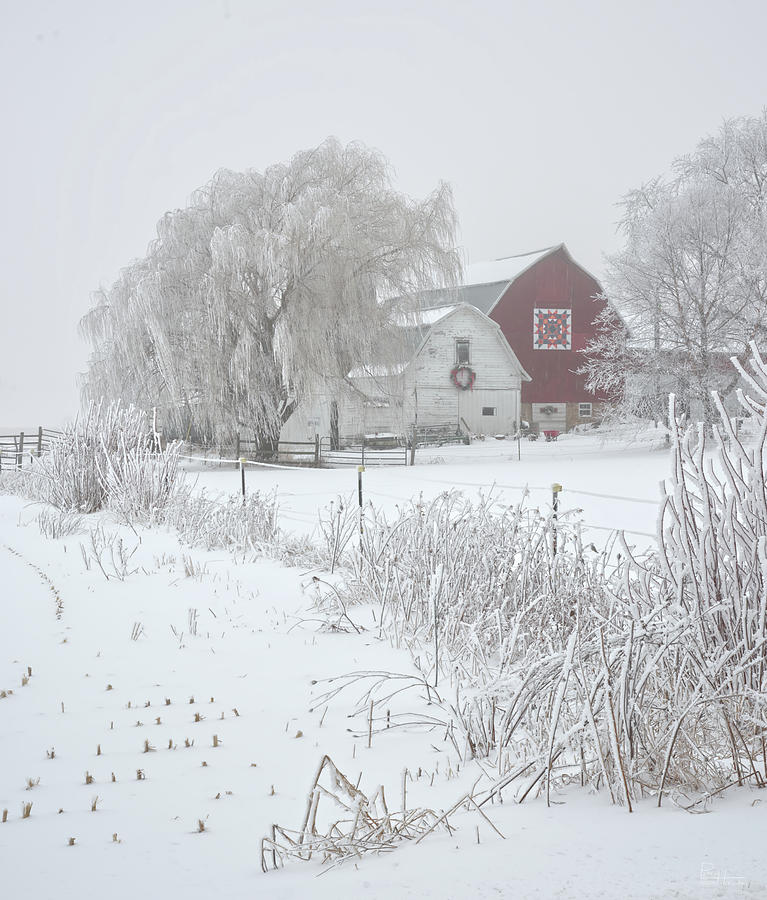 Decorated barns on foggy morning with rime frost - Dane County Wisconsin Photograph by Peter Herman