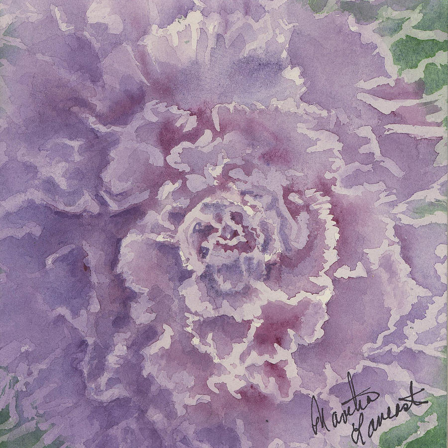 Decorative cabbage Painting by Martha Lancaster