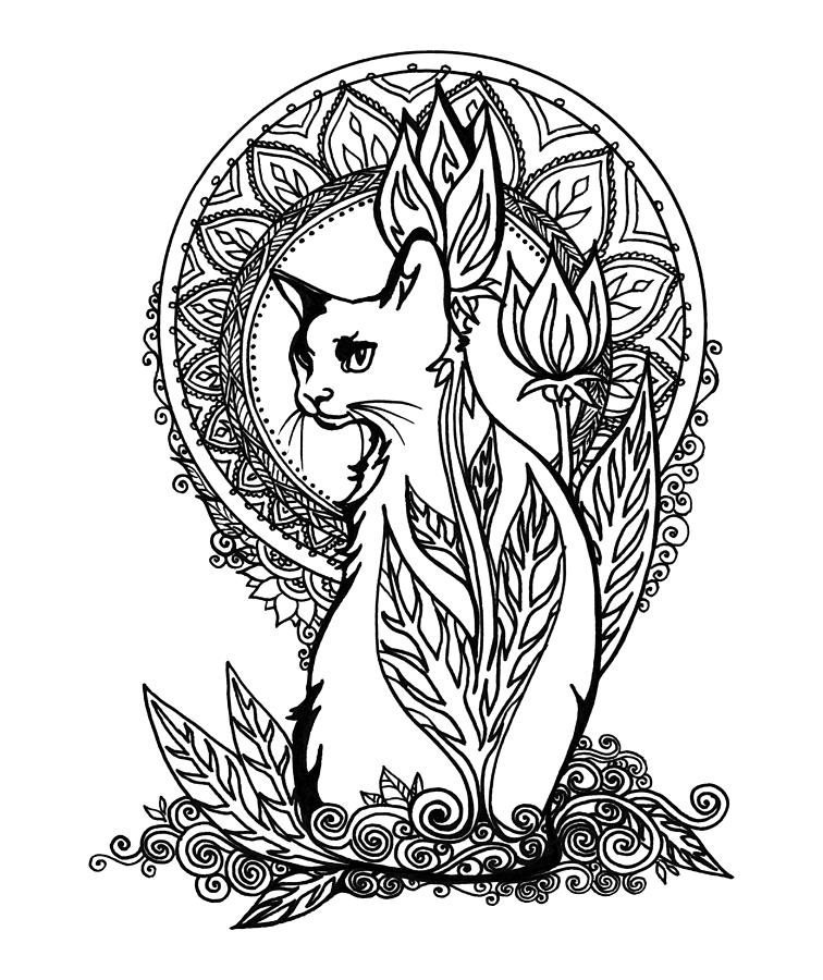 Decorative Cat Drawing Drawing by Katherine Nutt