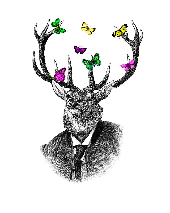 Deer Digital Art - Decorative Deer Portrait by Madame Memento