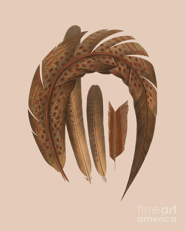 Pheasant Digital Art - Decorative Feather Art by Madame Memento