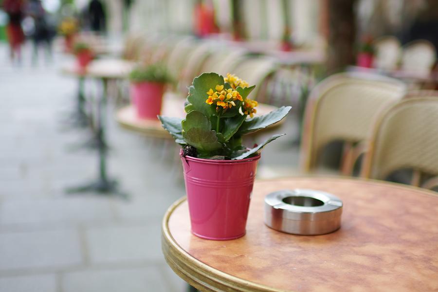 Decorative flower on table in a Parisian street cafe Photograph by Jacques Julien