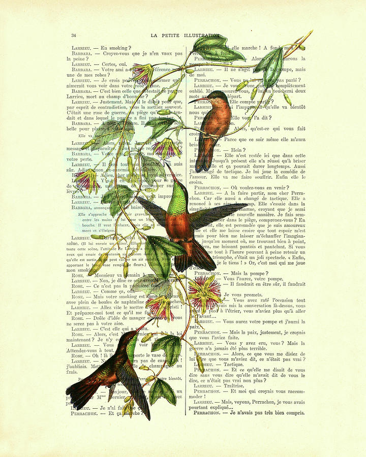 Decorative fluttering hummingbirds art Digital Art by Madame Memento