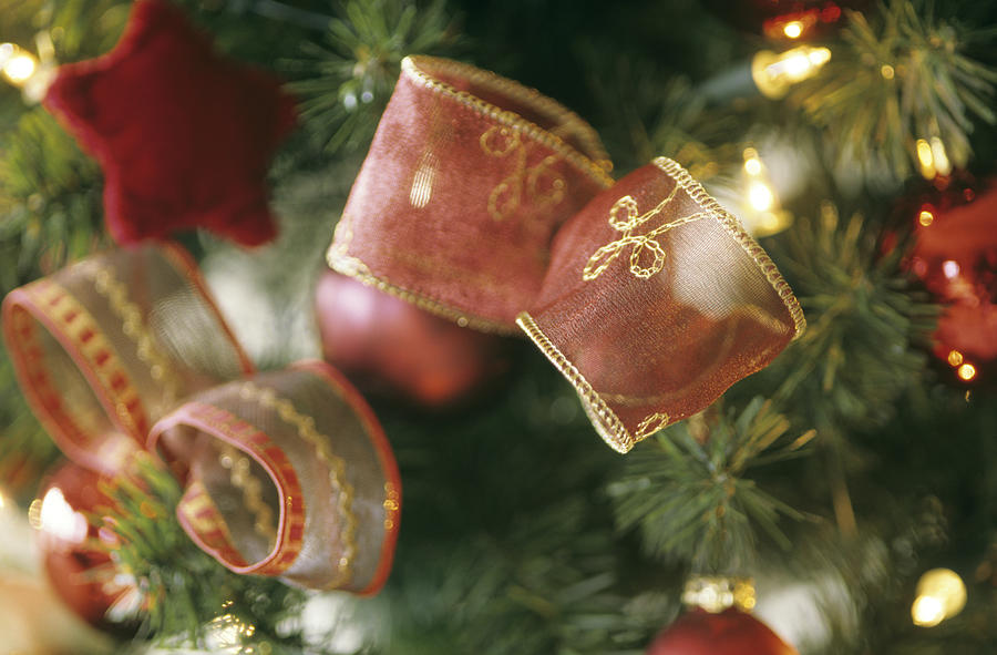 Decorative ribbon tied on Christmas tree Photograph by Achim Sass