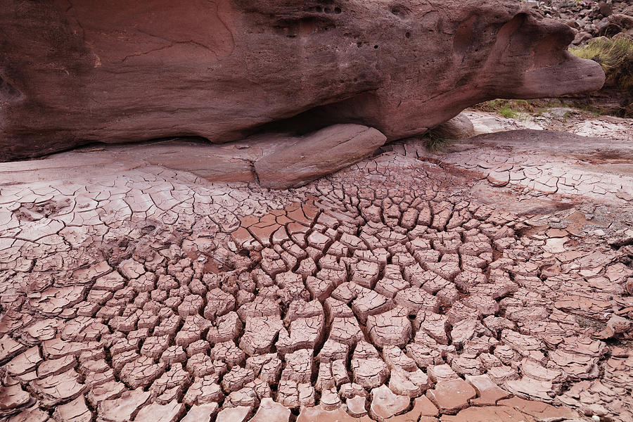 Deep Cracked Mud Photograph by Tom Daniel