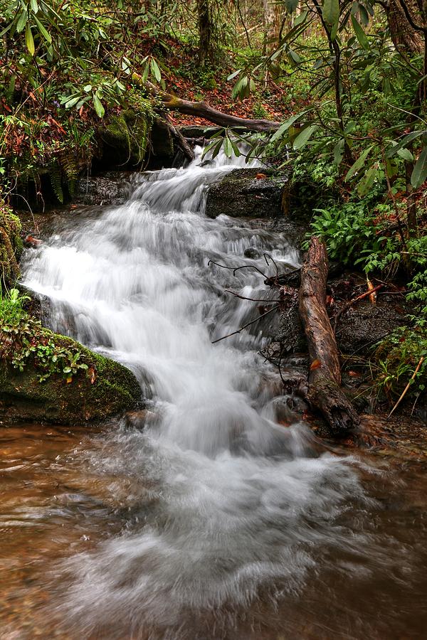 Deep Creek Cascade In The Great Smoky Mountains National Park Photograph by Carol Montoya