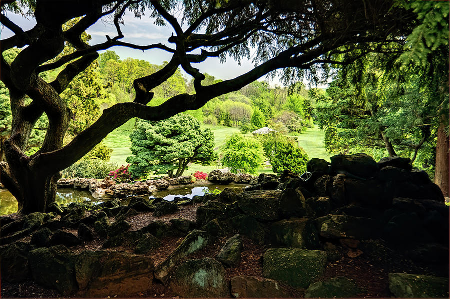 Deep Cuts Garden Gazebo And Landscape Photograph