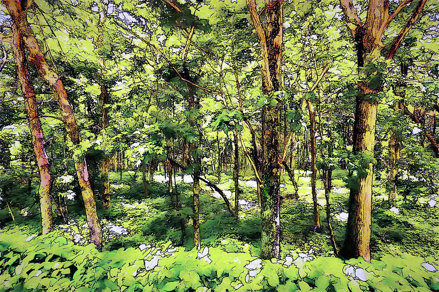 Deep Forest Trees and Greens FX Digital Art by Dan Carmichael