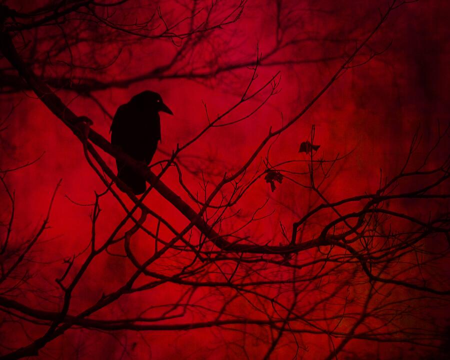 Deep Gothic Red Photograph by Gothicrow - Fine Art America