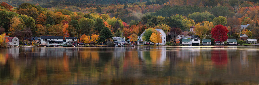 Deep into Fall Photograph by Darylann Leonard Photography