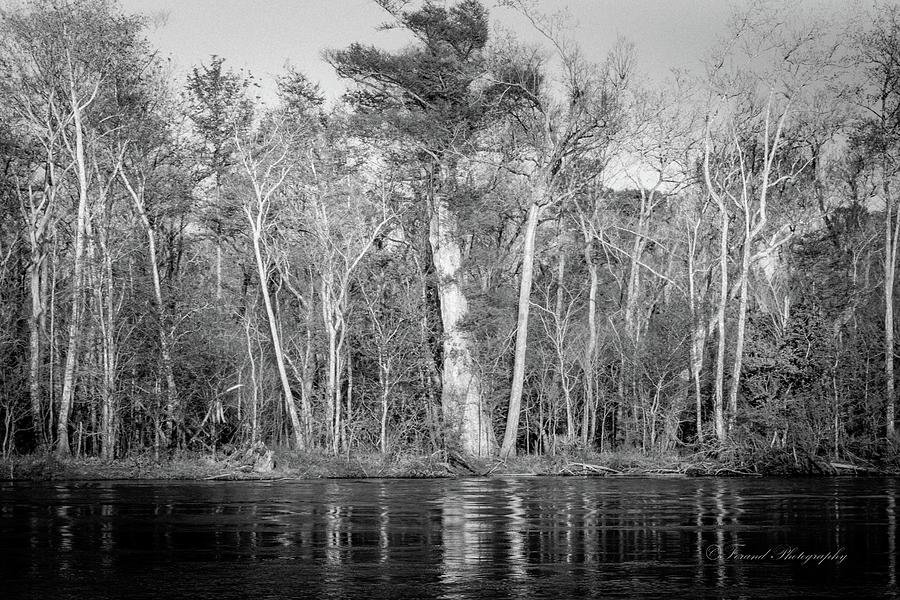 Deep On The River Black and White  Photograph by Debra Forand