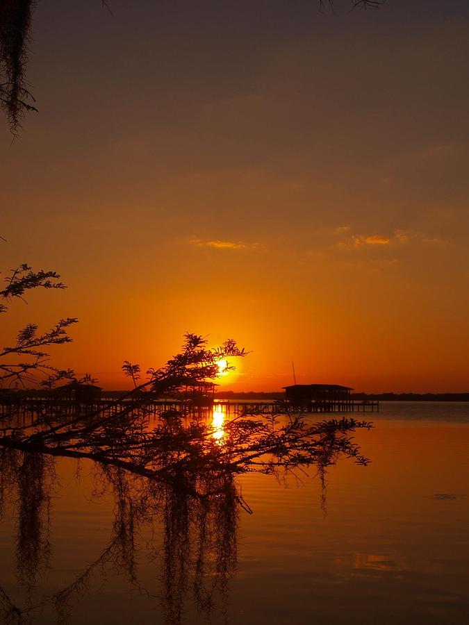 Deep Orange Photograph by Chris Hart | Fine Art America